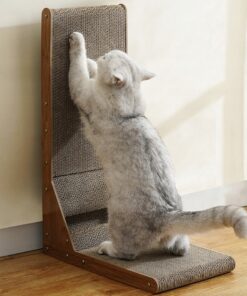 Alternative view of Kassi kraapimissein mänguasjaga