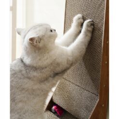 Kassi kraapimissein mänguasjaga Soodukas.Com