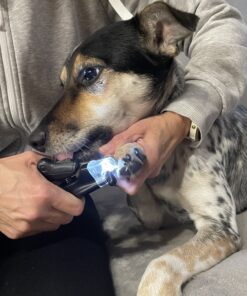 Alternative view of Valgustusega küünetangid kassidele ja koeradele + küüneviil