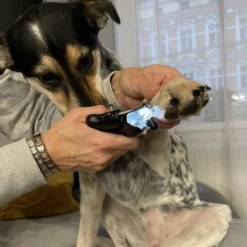 Valgustusega küünetangid kassidele ja koeradele + küüneviil Soodukas.Com