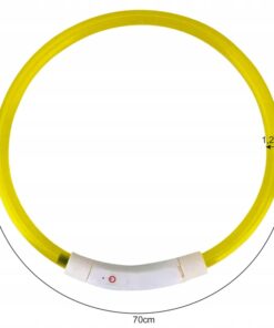 led kaelarihm koerale 1