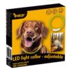 led kaelarihm koerale 2