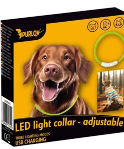 led kaelarihm koerale 2