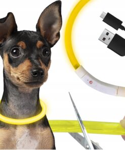 LED kaelarihm koerale