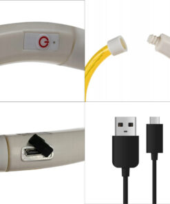led kaelarihm koerale 4