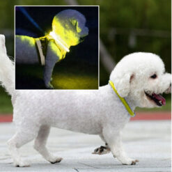 Alternative view of LED kaelarihm koerale