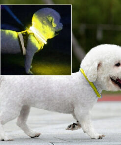 Alternative view of LED kaelarihm koerale