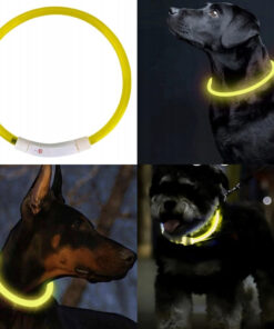 led kaelarihm koerale 6