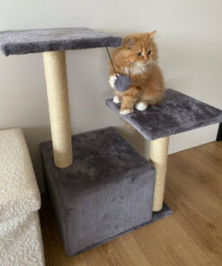 Alternative view of Mitmetasandiline kraapimispostidega kassimaja