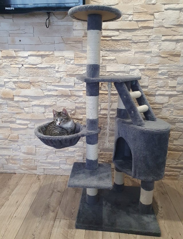 Mitmetasandiline kraapimispostidega kassimaja – Soodukas.Com Mitmetasandiline kraapimispostidega kassimaja - Image 2