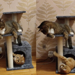 Mitmetasandiline kraapimispostidega kassimaja Soodukas.Com