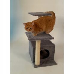 Mitmetasandiline kraapimispostidega kassimaja Soodukas.Com