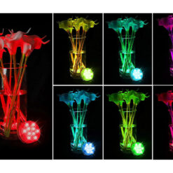 Veealune valgusti puldiga - basseinivalgusti Soodukas.Com