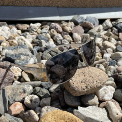 Alternative view of Polariseeritud päikeseprillid + prillikarp