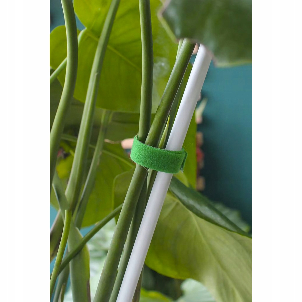 Takjapael taimede toestamiseks 5m - Image 3