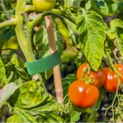 Alternative view of Takjapael taimede toestamiseks 5m