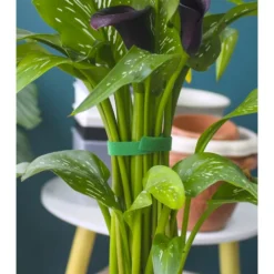 Takjapael taimede toestamiseks 5m Soodukas.Com