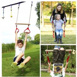 Alternative view of Trapets kiik