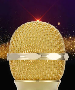 Sisseehitatud kolari ja salvestusfunktsiooniga Bluetooth mikrofon 10