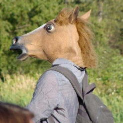 Alternative view of Hobuse mask