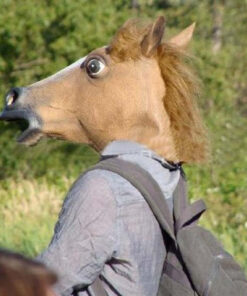 Alternative view of Hobuse mask