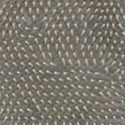 Jalapesu matt Soodukas.Com