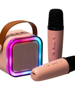 Karaoke komplekt - 2 mikrofoni + kõlar