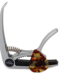 Alternative view of Kitarri kapo + mediaator