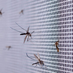 Magnetitega putukavõrk aknale - sääsevõrk 150 x180cm Soodukas.Com