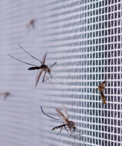 magnetiga potukavork aknale 1