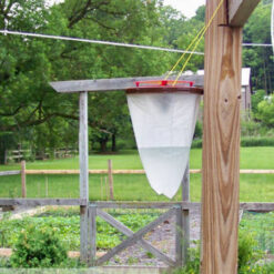 Alternative view of Putukapüünis