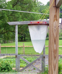 Alternative view of Putukapüünis