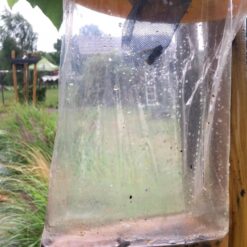 Putukapüünis Soodukas.Com