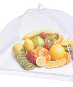 putukate vastane kate toidule 5