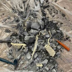 Teaduskomplekt - vulkaan + fossiilide ja mineraalide kaevandamine – Soodukas.Com Teaduskomplekt - vulkaan + fossiilide ja mineraalide kaevandamine Soodukas.Com