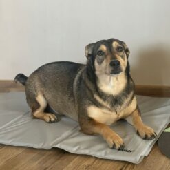 Alternative view of Jahutusmatt koertele 90x50cm