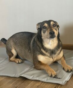 Alternative view of Jahutusmatt koertele 90x50cm