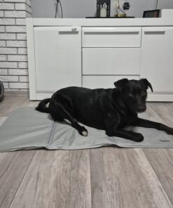 jahutusmatt koerale 10