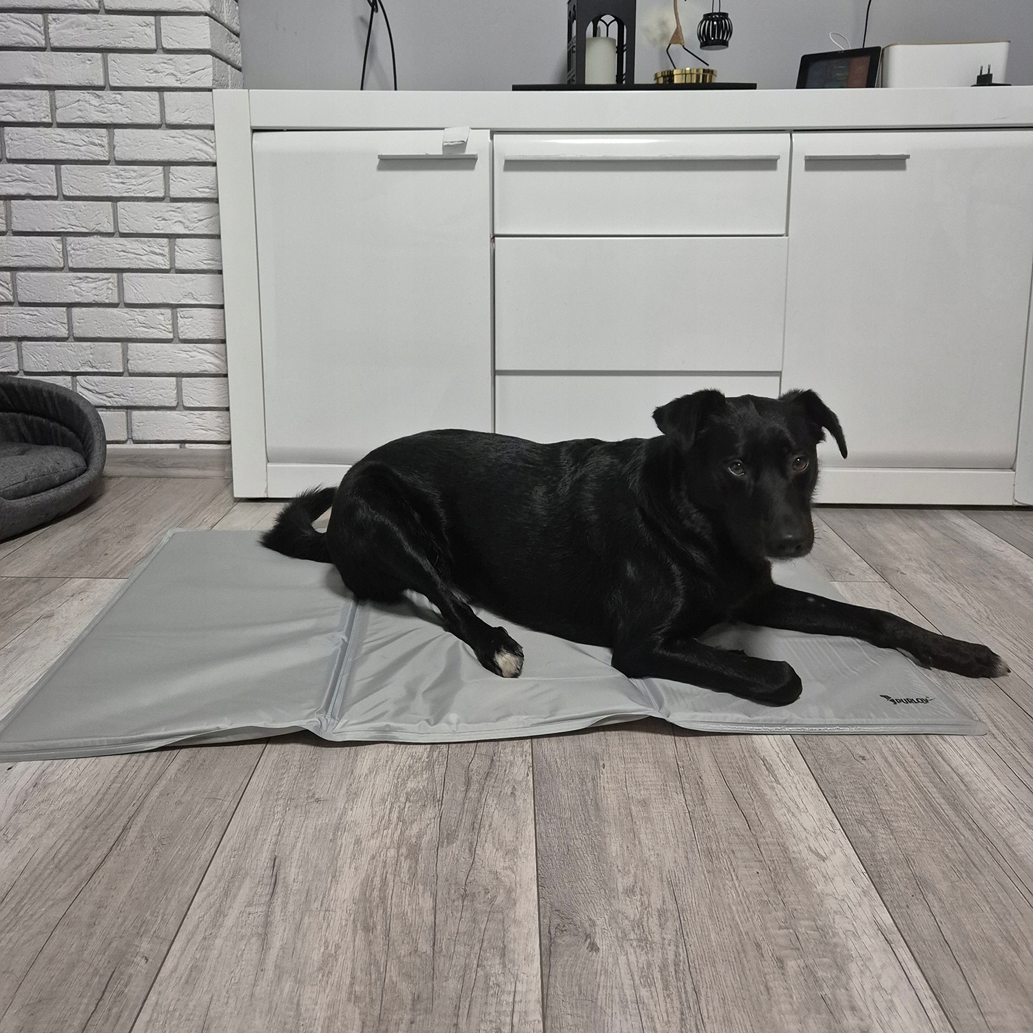 Jahutusmatt koertele 110x70cm - Image 3