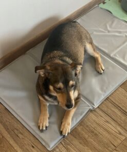 jahutusmatt koerale 3