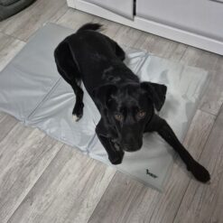 Alternative view of Jahutusmatt koertele 110x70cm