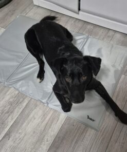 Alternative view of Jahutusmatt koertele 110x70cm