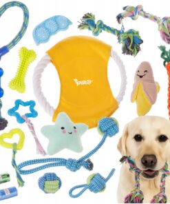 16-osaline koera mänguasjade komplekt