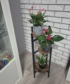 Alternative view of Lillepostament 3 tasandiga / lilleriiul