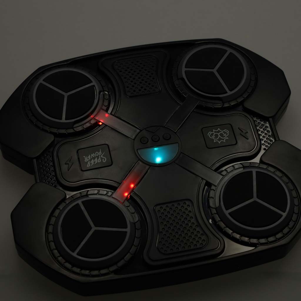 Elektrooniline poksikilp + poksikindad - Image 2