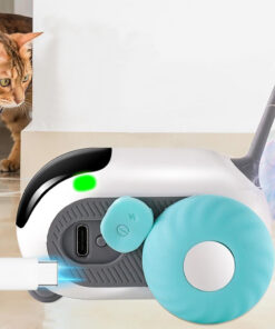 Kaugjuhitav interaktiivne manguasi kassile 1