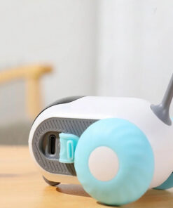 Kaugjuhitav interaktiivne manguasi kassile 2