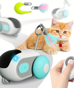 Interaktiivne kaugjuhitav kassimänguasi