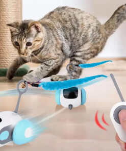 Alternative view of Interaktiivne kaugjuhitav kassimänguasi