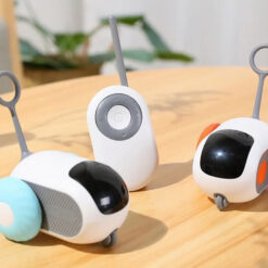 Interaktiivne kaugjuhitav kassimänguasi Soodukas.Com